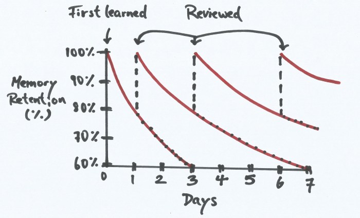 The Forgetting Curve used by Anki